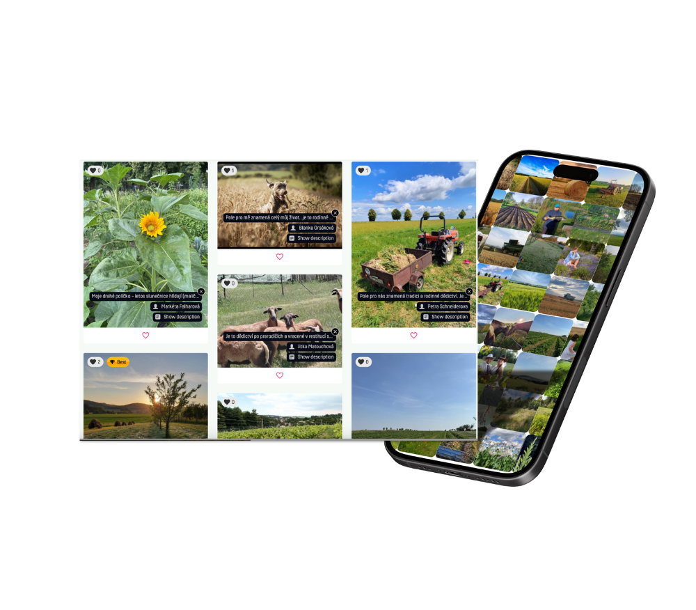 Mojepole slider (16).png